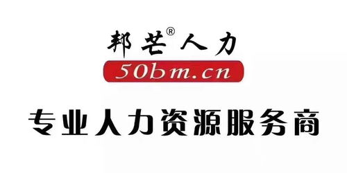 專業(yè)人力資源服務(wù) 從勞務(wù)外包到軟件外包的全方位解決方案